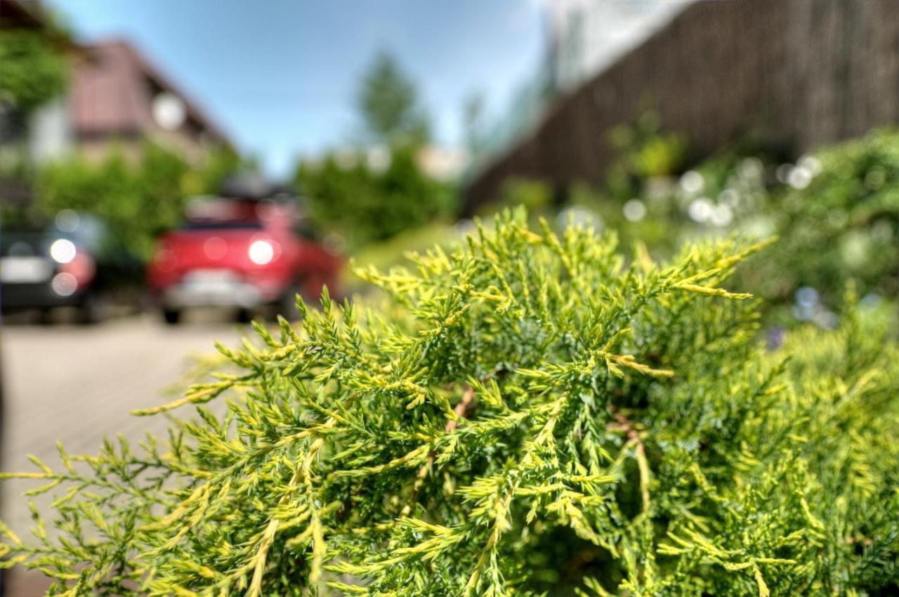 Willa Karpinskich Zakopane Bagian luar foto